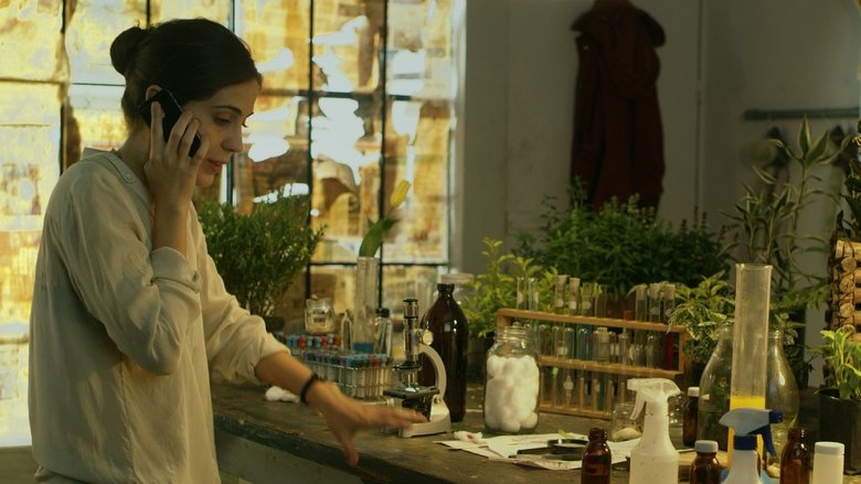 кадр из фильма Tulipán