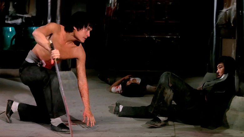 Новые боксеры из Шаолиня