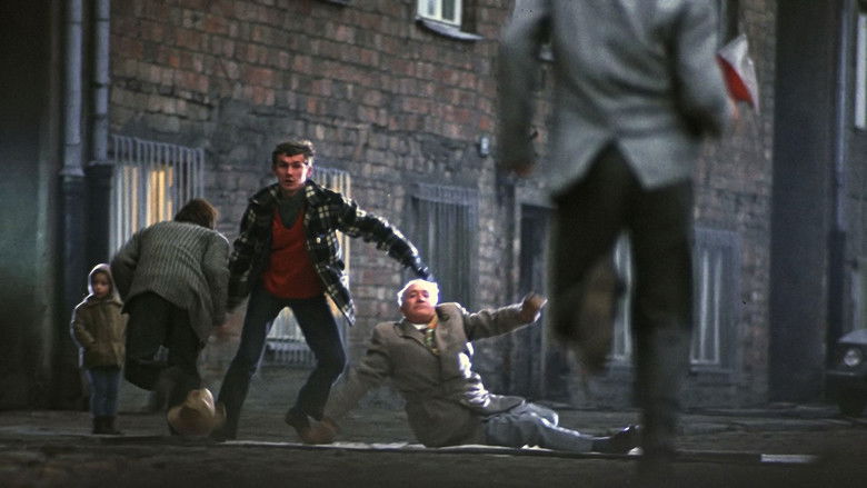 кадр из фильма Охота на мух