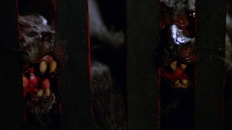 кадр из фильма Крысы