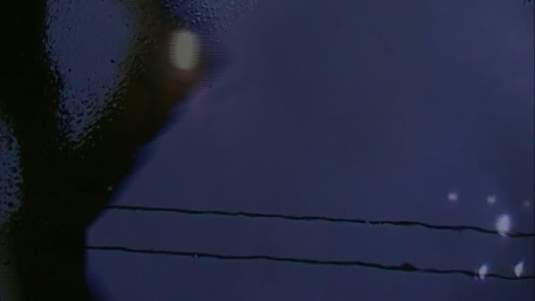 кадр из фильма [W I N G S O F L O V E]