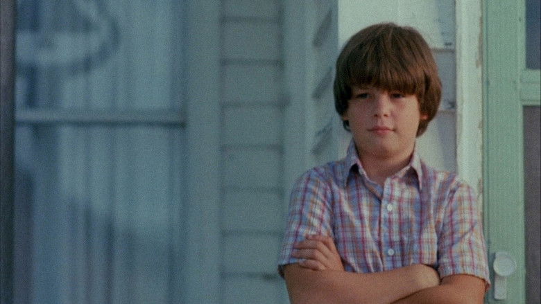 кадр из фильма The Stone Boy