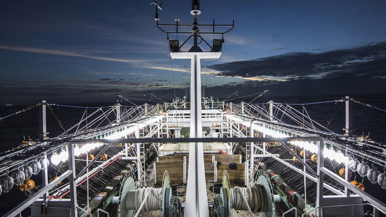 кадр из фильма 水路—遠洋紀行