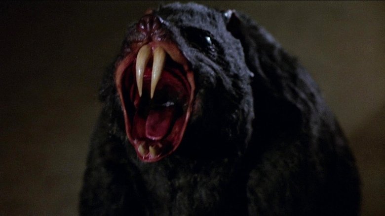 кадр из фильма Крысы