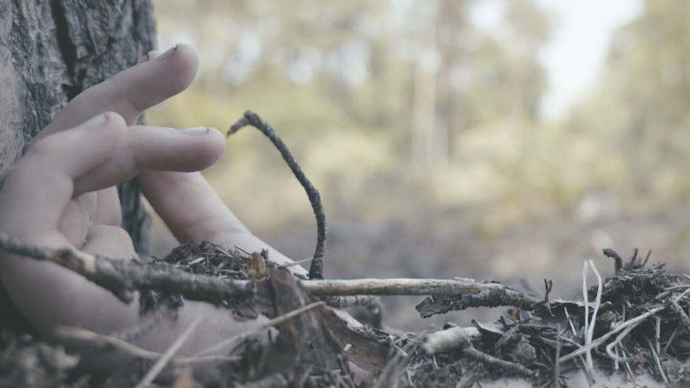 кадр из фильма Safe Place