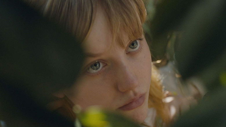 кадр из фильма My First Summer