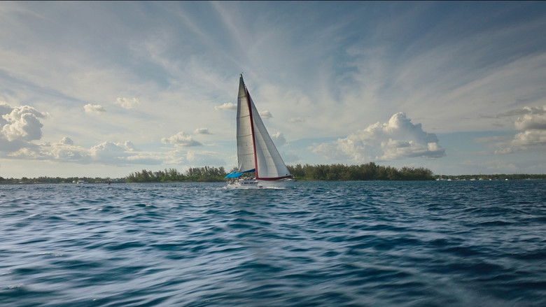 кадр из фильма Выжившая