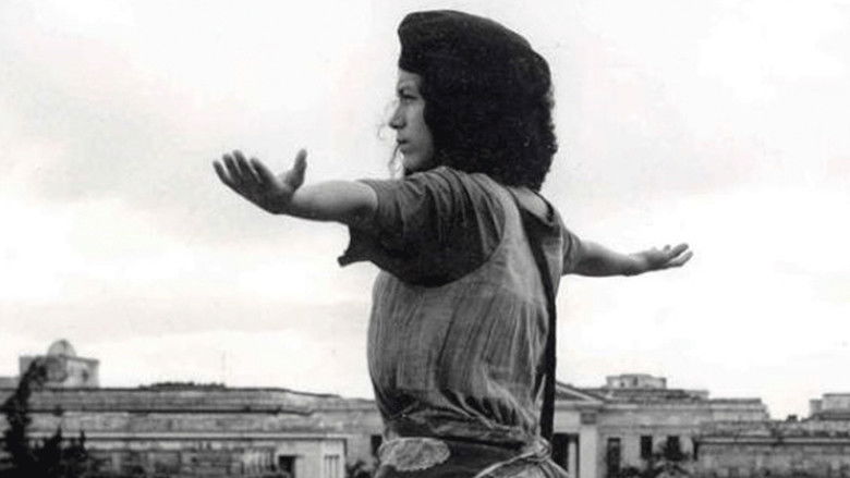 кадр из фильма Madagascar