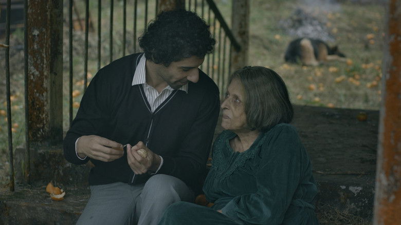 кадр из фильма Светлячок