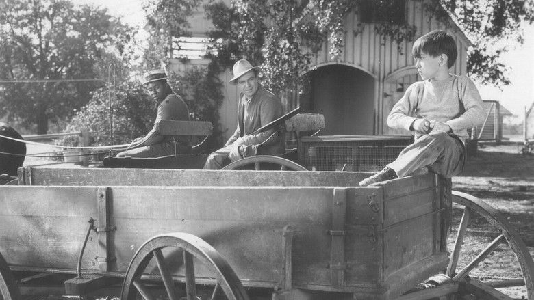 кадр из фильма The Biscuit Eater