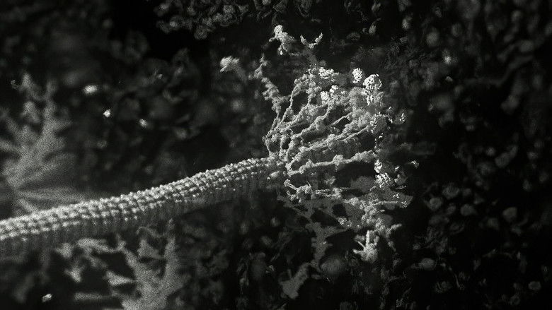 кадр из фильма Photon