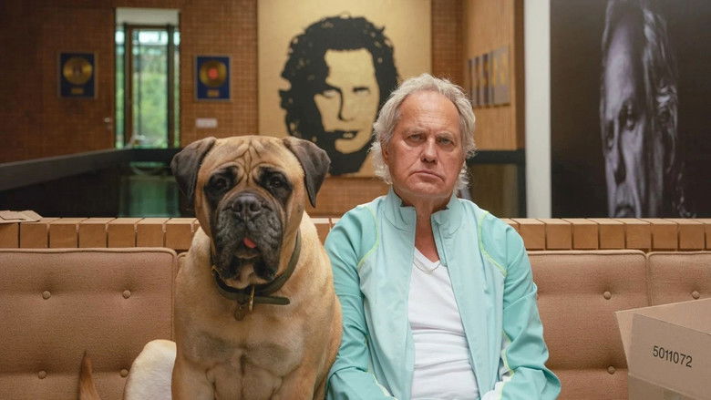 кадр из фильма Die Ironie des Lebens