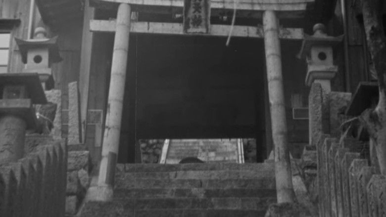 кадр из фильма Variations on a Life