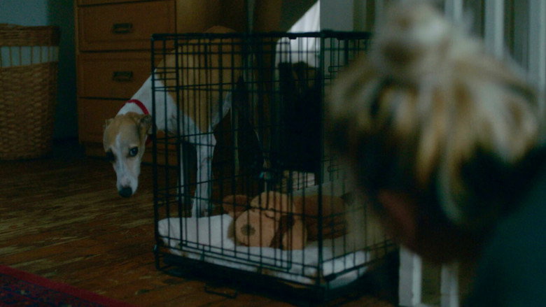 кадр из фильма The Heirloom