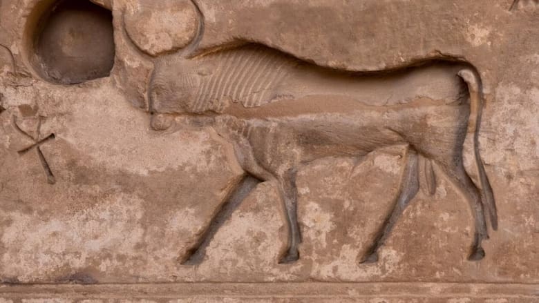 кадр из фильма Les animaux sacrés de l'Egypte ancienne