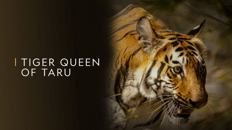 кадр из фильма Tiger Queen of Taru