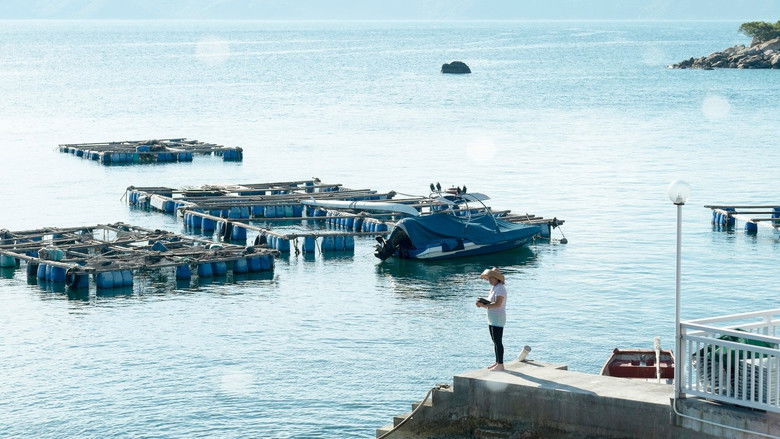 кадр из фильма 岸上漁歌