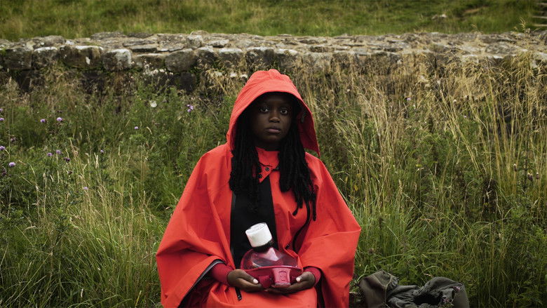 кадр из фильма Wayfinder