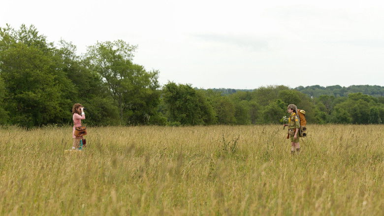 кадр из фильма Королевство полной луны