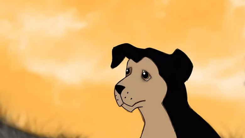 кадр из фильма Abandono de Animais