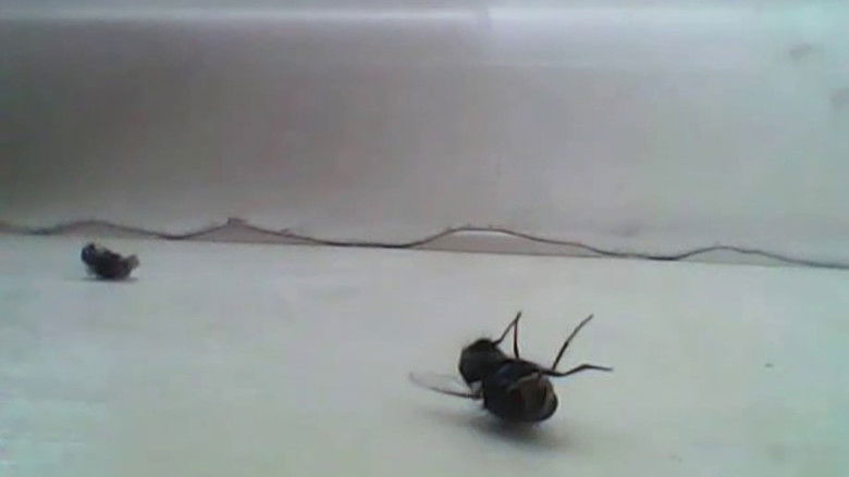 кадр из фильма Courage & The Cowards