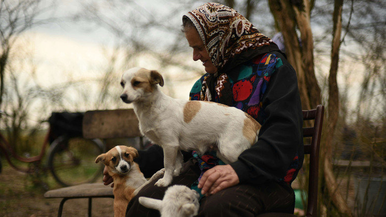 кадр из фильма Bukolika