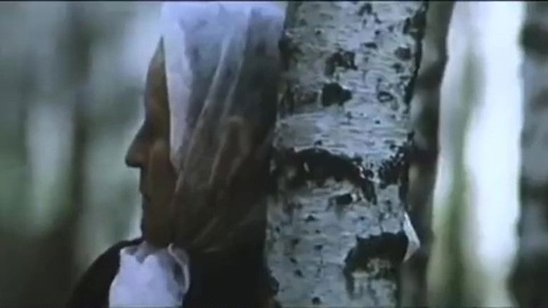 кадр из фильма Солдатки