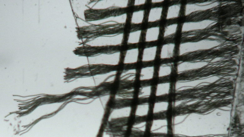 кадр из фильма Tactile Light Diary