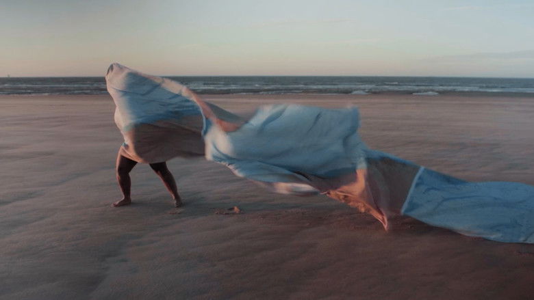 кадр из фильма Blue Has No Borders