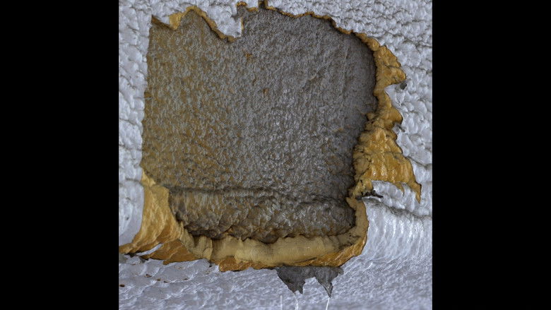 кадр из фильма Erosion Project