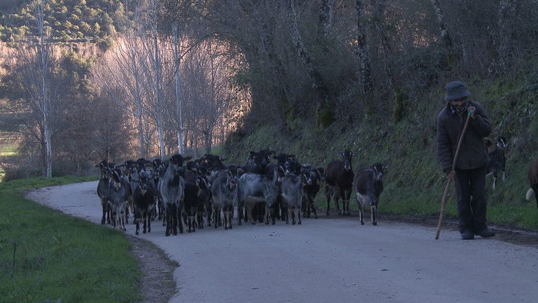 кадр из фильма Alfaião