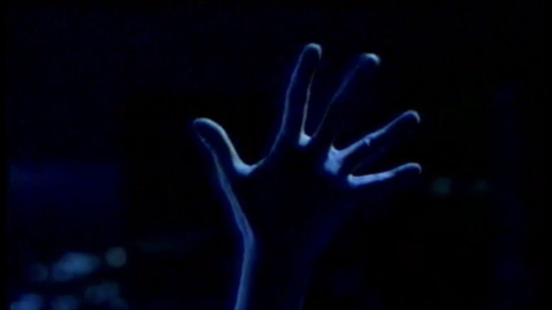 кадр из фильма さまよえる脳髄