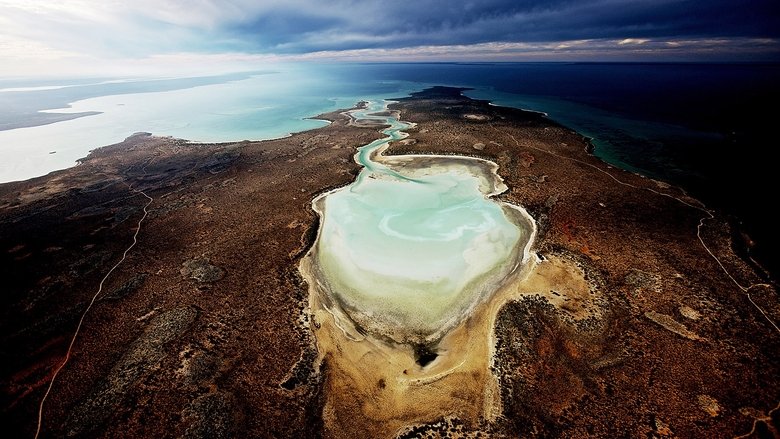 кадр из фильма Планета-океан