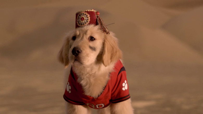 кадр из фильма Пятерка кладоискателей