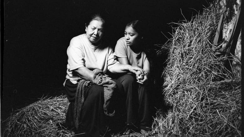 кадр из фильма Эволюция филиппинской семьи