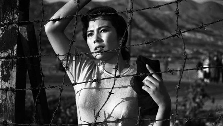 кадр из фильма 철조망