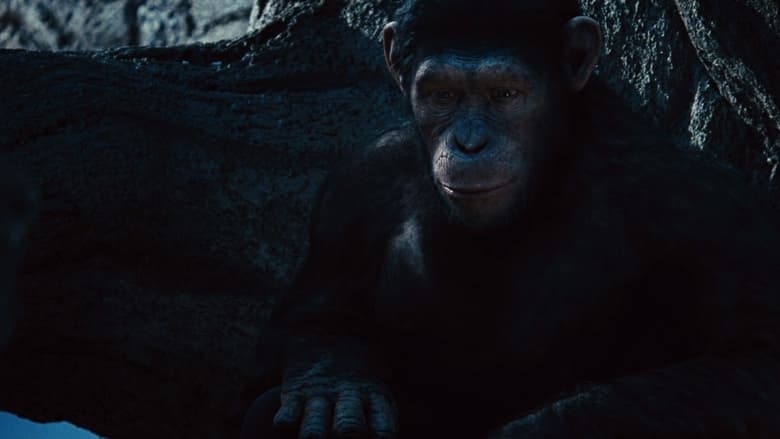 кадр из фильма Восстание Планеты обезьян