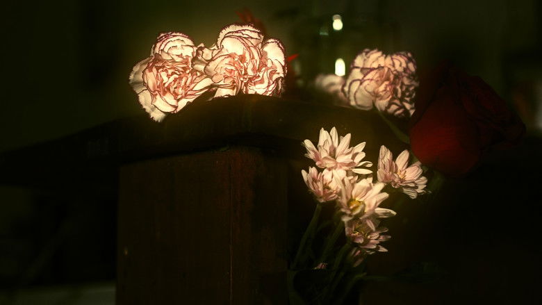 кадр из фильма De lo Indecible