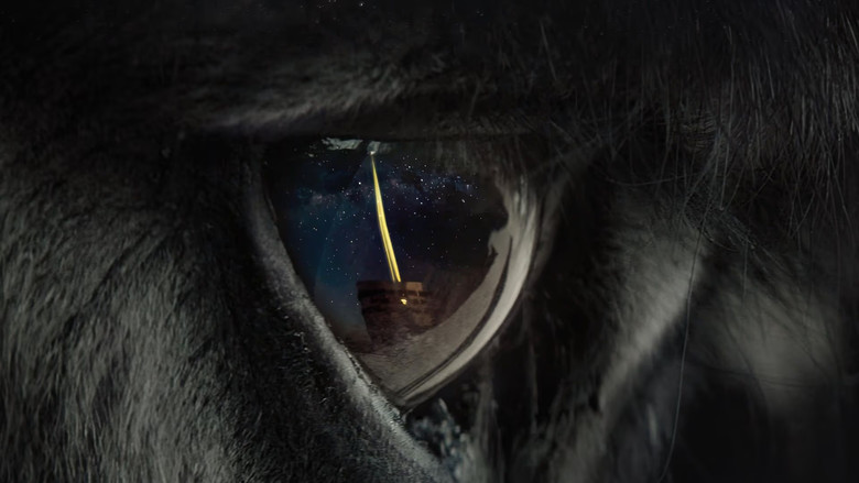 кадр из фильма Une parfaite étrangeté