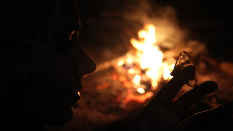 кадр из фильма Ne Gelen Var Ne Giden...