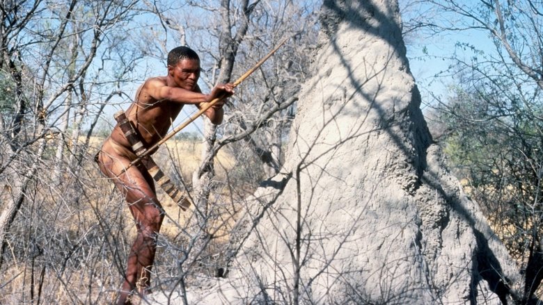 кадр из фильма Боги, наверное, сошли с ума