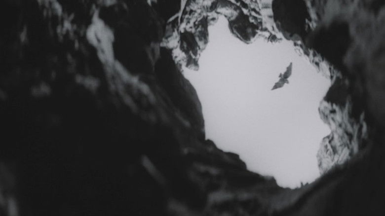 кадр из фильма Храм Диких Гусей