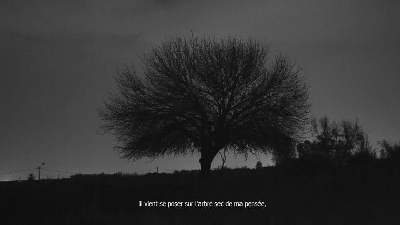 кадр из фильма Ayyur