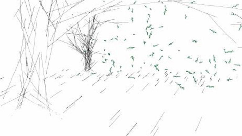 кадр из фильма Поезд, лес