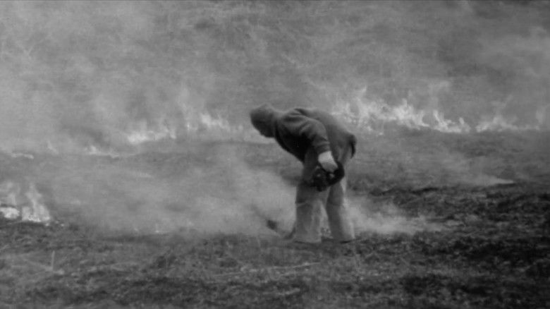 кадр из фильма Step Across the Border