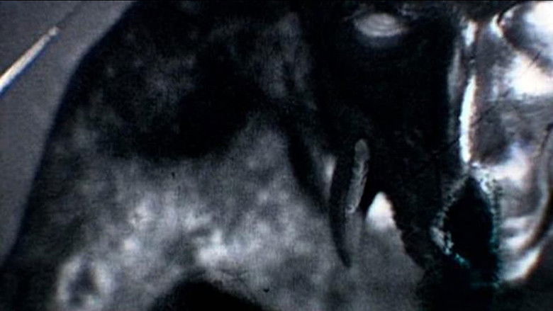 кадр из фильма Kanashibara