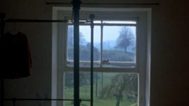 кадр из фильма Windows