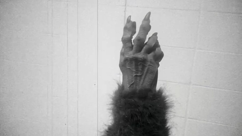 кадр из фильма The Werewolf