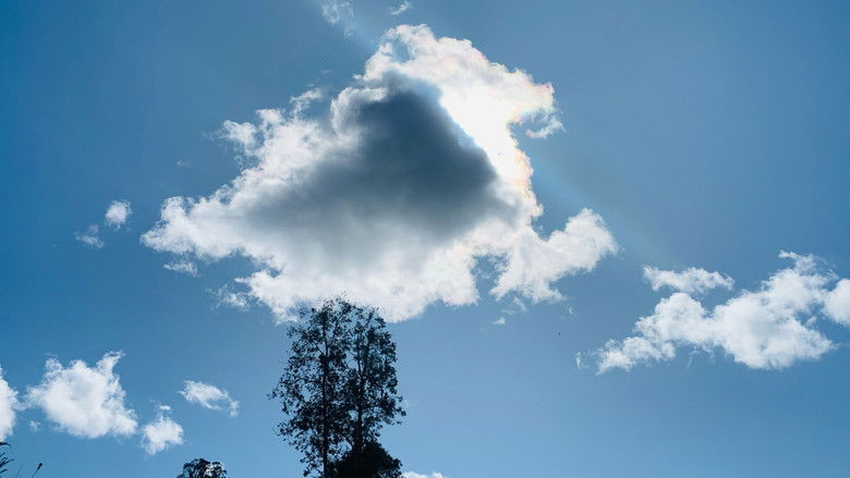 кадр из фильма Fragmentos de un recuerdo