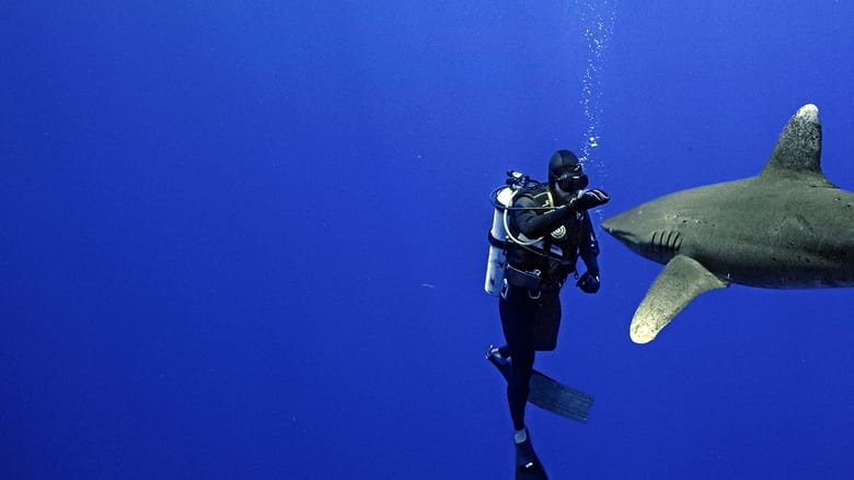 кадр из фильма World's Most Dangerous Shark?